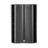Amate Audio Nítid S218WP Passive Subwoofer - Afbeelding 2